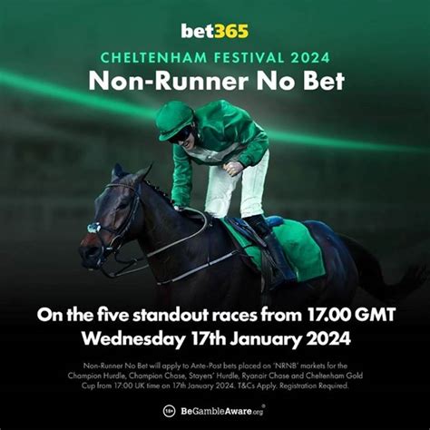 cheltenham races bet365